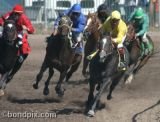 Horse racing in Montana