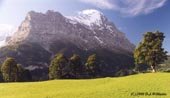 Swiss Alp Landscapes