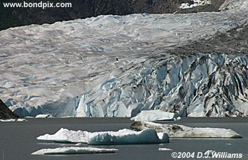 mendenhall glacier near juneau alaska