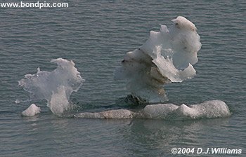 iceberg calves wonderful shapes in alaska