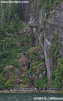 Landscape in Alaska