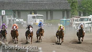 Horse Racing at the Western Montana Fair in Missoula, Montana