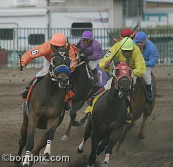 Horse Racing at the Western Montana Fair in Missoula, Montana