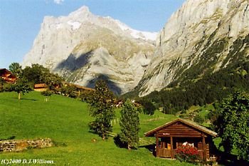 The Swiss Alps