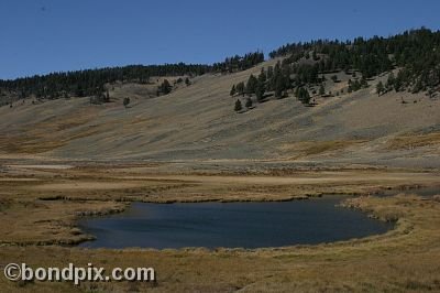 Yellowstone Park