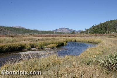 Yellowstone Park