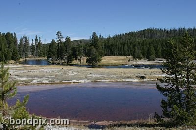 Yellowstone Park