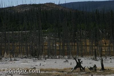 Yellowstone Park
