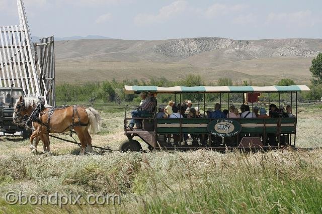 0882.jpg - Horse drawn wagon takes visitors around the Grant-Kohrs ranch in Montana