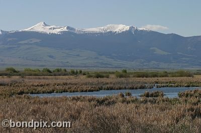 Mount Powell from Warm Springs Ponds, Montana