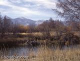 Fall image of Mount Powell in Montana for purchase