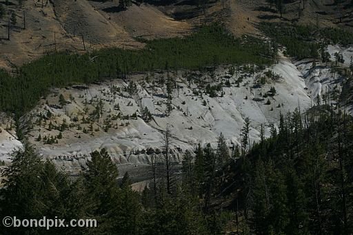 Yellowstone Park