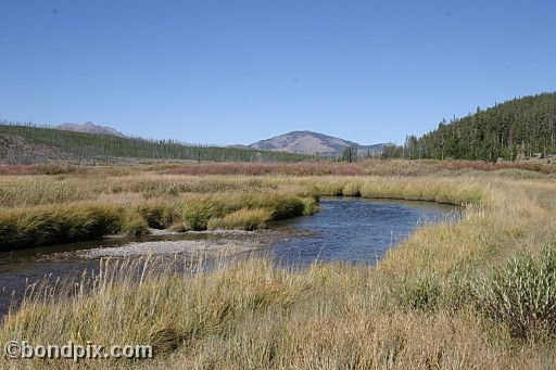 Yellowstone Park
