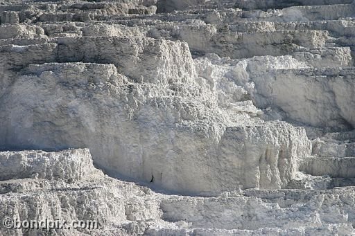 Some of the natural features of Yellowstone Park