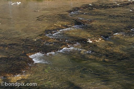 Some of the natural features of Yellowstone Park