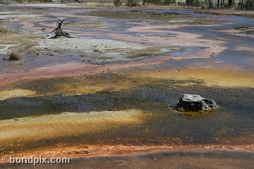 Some of the natural features of Yellowstone Park