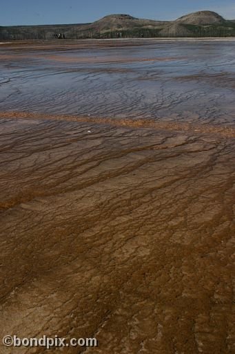Some of the natural features of Yellowstone Park