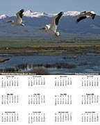 Calendar prints for purchase