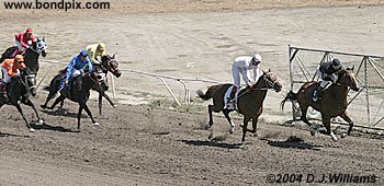 Just Joe Bridled takes the early lead over Plum Puzzled