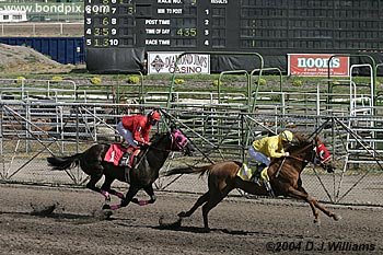 Desert Launch pulls away from Tougher Still
