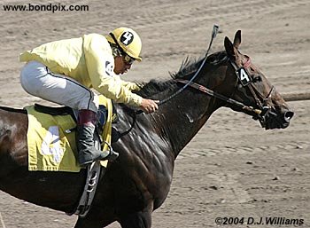 The winner is No. 4 horse B. B. Max ridden by Carl Hebert