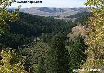 Pintler scenic loop
