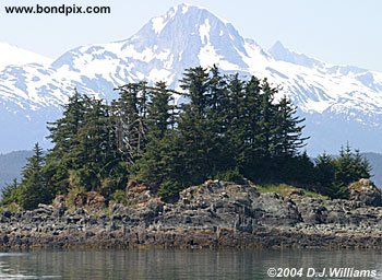 lynn canal alaska picture