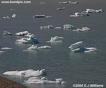 ice flow at mendenhall glacier alaska