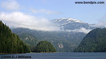 misty fjords cruise