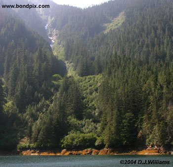 misty  fjords in alaska