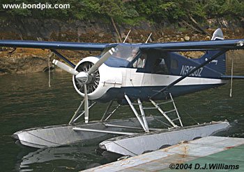 bush plane