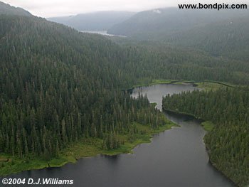 aerial view of lakes in alaska